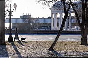 Фото: Олег Димитров / "Городские вести"