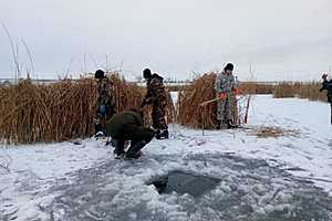 Фото: Волгоградский облкомприроды / тг-канал