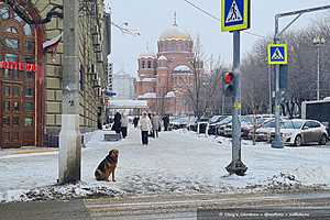 Фото: Олег Димитров / "Городские вести"