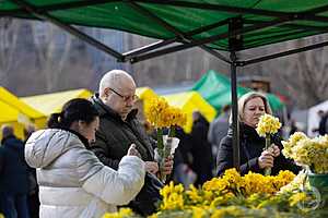 Фото: Данил Савченко / "Городские вести"