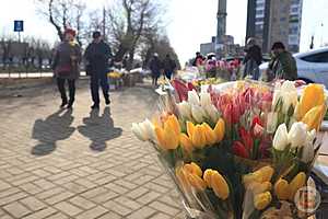 Фото: Дмитрий Рогулин / "Городские вести"