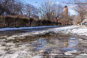 Фото: Олег Димитров / "Городские вести"