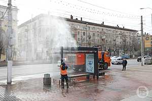 фото: Данил Савченко / "Городские вести"