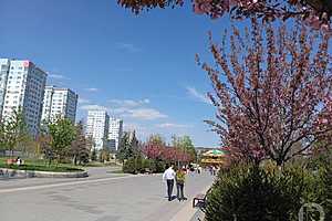 Фото: Евгения Иванова / "Городские вести"