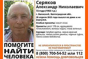 Фото: поисковый отряд "ЛизаАлерт"