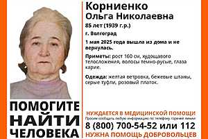 Фото: поисковый отряд «ЛизаАлерт»