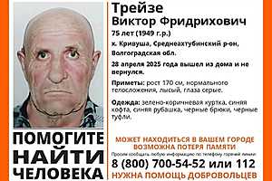 Фото: поисковый отряд "ЛизаАлерт"