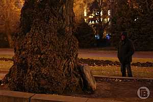 Фото: Дмитрий Рогулин / "Городские вести"