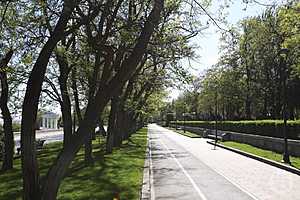 Фото: Данил Савченко / "Городские вести"