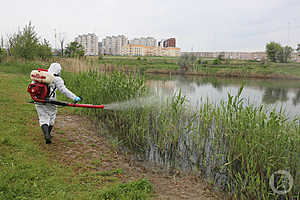 Фото: Дмитрий Рогулин / «Городские вести»