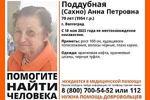 Фото: "ЛизаАлерт" Волгоград
