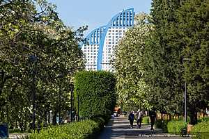 Фото: Олег Димитров / "Городские вести"