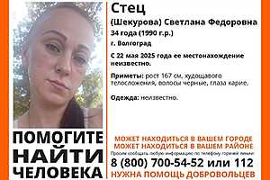 Фото: поисковый отряд "ЛизаАлерт"