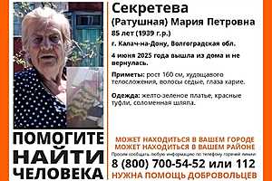 Фото: "ЛизаАлерт" Волгоград