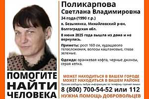 Фото: поисковый добровольческий отряд "ЛизаАлерт"