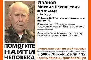 Фото предоставлено поисковым отрядом "ЛизаАлерт"