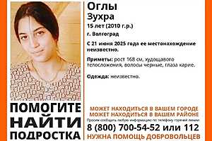 Фото предоставлено поисковым отрядом "ЛизаАлерт"