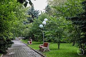 Фото: Дмитрий Рогулин/"Городские вести"