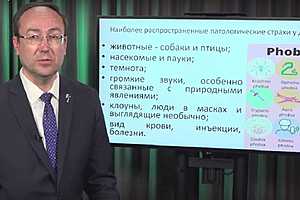Скриншот: ВолгГМУ