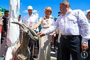 Фото: Дмитрий Рогулин/"Городские вести"