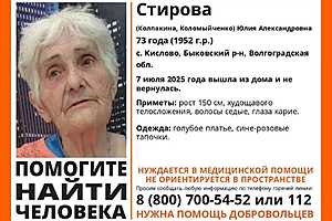 Фото предоставлено поисковым отрядом "ЛизаАлерт"