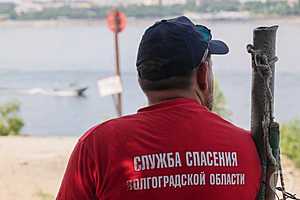 Фото: Дмитрий Рогулин / "Городские вести"