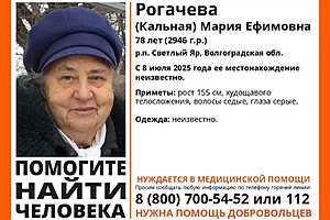 Фото: Поисковый отряд "ЛизаАлерт"
