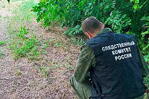 Фото: СУ СКР по Волгоградской области