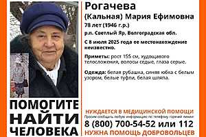 Фото: поисковый отряд "ЛизаАлерт"