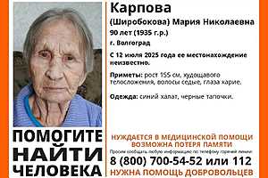 Фото предоставлено поисковым отрядом "ЛизаАлерт"