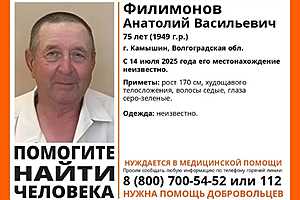 Фото: поисковый отряд "ЛизаАлерт"