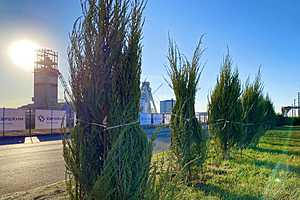 Фото: "Городские вести"