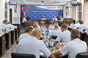 Фото: ГУ МВД России по Волгоградской области