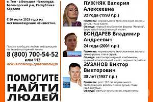 Фото предоставлено поисковым отрядом "ЛизаАлерт"