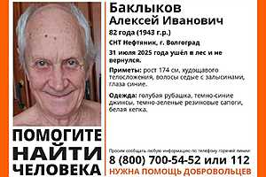 Фото: поисковый отряд "ЛизаАлерт"