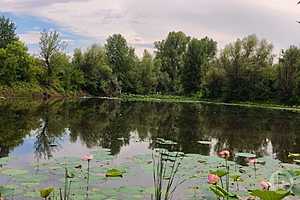 Фото: "Городские вести"