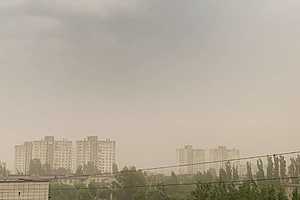 Фото: "Городские вести"