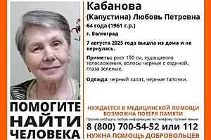 Фото: "ЛизаАлерт" Волгоград