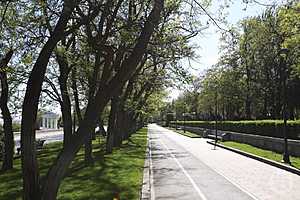 Фото: Данил Савченко / "Городские вести"