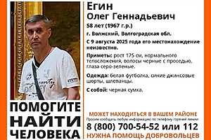 Фото предоставлено поисковым отрядом "ЛизаАлерт"