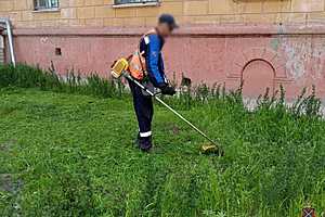 Фото: ГУ МВД России по Волгоградской области