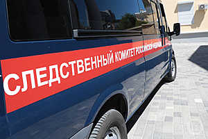 Фото: Дмитрий Рогулин / «Городские вести»