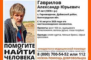 Фото: отряд "ЛизаАлерт"