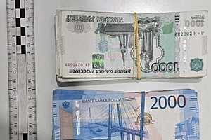 Фото: ГУ МВД по Волгоградской области