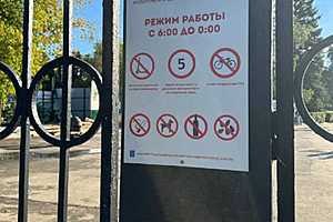 Фото: телеканал "Саратов 24"