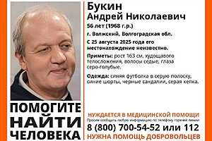 Фото: отряд "ЛизаАлерт"