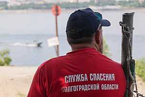 Фото: Дмитрий Рогулин / "Городские вести"