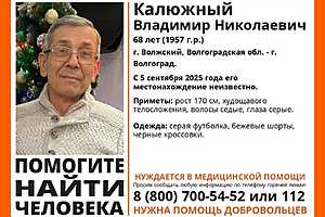 Фото: отряд ЛизаАлерт