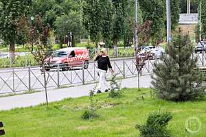 Фото: Дмитрий Рогулин / "Городские вести"