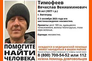 Фото предоставлено поисково-добровольческим отрядом "ЛизаАлерт"